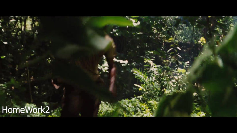 Jungle Chase